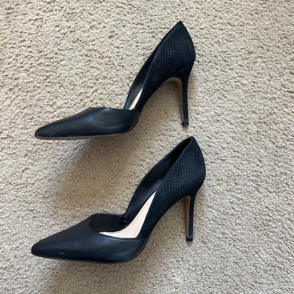 Vince came to heels - Picture 2 of 5